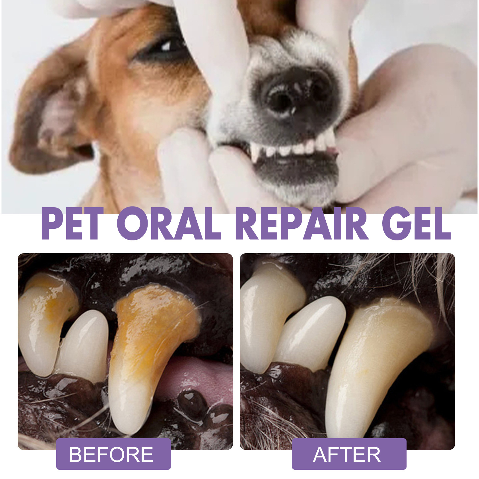 Pet Oral Repair Gel Puppy Tart - Teeth Whitening Near Me 评论和价格